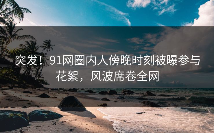 突发！91网圈内人傍晚时刻被曝参与花絮，风波席卷全网