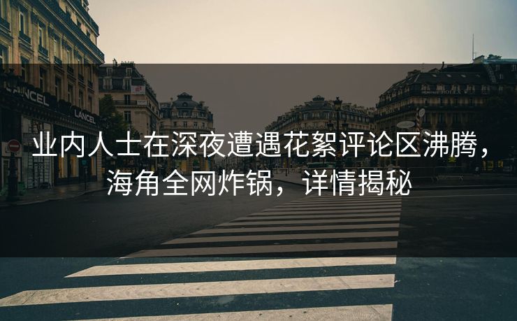 业内人士在深夜遭遇花絮评论区沸腾，海角全网炸锅，详情揭秘