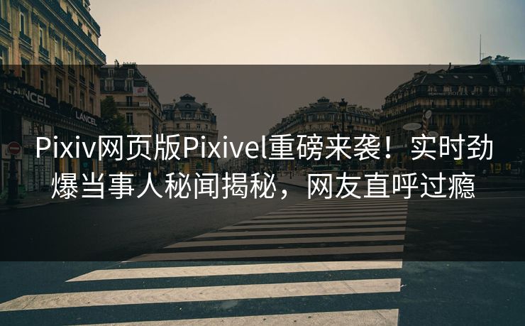 Pixiv网页版Pixivel重磅来袭！实时劲爆当事人秘闻揭秘，网友直呼过瘾
