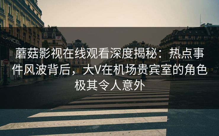 蘑菇影视在线观看深度揭秘：热点事件风波背后，大V在机场贵宾室的角色极其令人意外