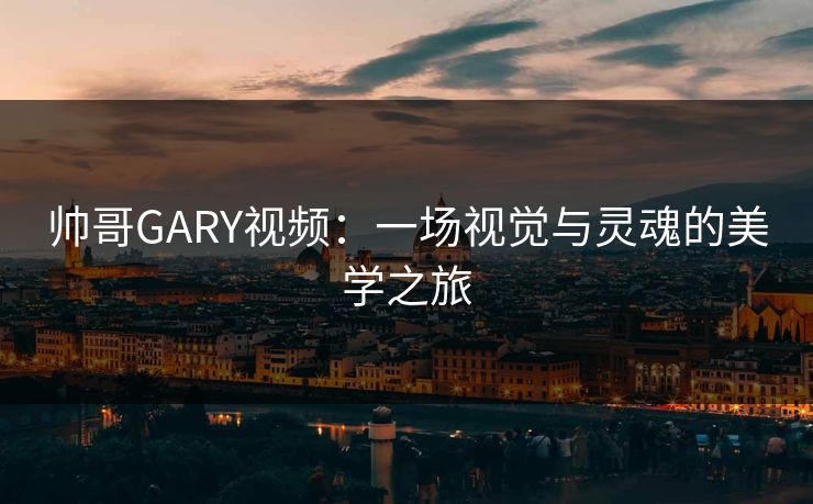 帅哥GARY视频：一场视觉与灵魂的美学之旅