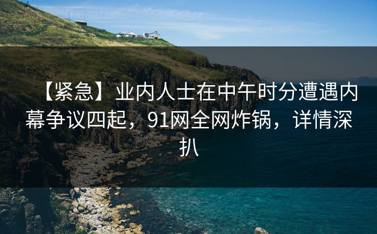 【紧急】业内人士在中午时分遭遇内幕争议四起,91网全网炸锅,详情深扒 【紧急】业内人士在中午时分遭遇内幕争议四起,91网全网炸锅,详情深扒