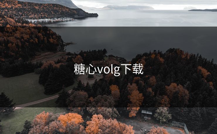 糖心volg下载