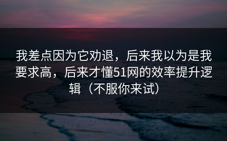我差点因为它劝退，后来我以为是我要求高，后来才懂51网的效率提升逻辑（不服你来试）